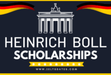 Heinrich Boll Foundation Scholarships 2024 for You in Germany