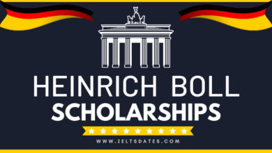 Heinrich Boll Foundation Scholarships 2024 for You in Germany